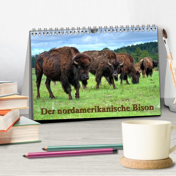 Produktbild: Der nordamerikanische Bison (Tischkalender 2026 DIN A5 quer), CALVENDO Monatskalender