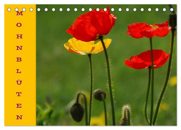 Produktbild: MOHNBL&Uuml;TEN (Tischkalender 2026 DIN A5 quer), CALVENDO Monatskalender