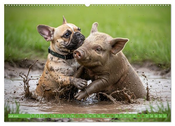 Produktbild: Muddi Buddies &ndash; Freundschaft im Matsch (hochwertiger Premium Wandkalender 2026 DIN A2 quer), Kunstdruck in Hochglanz