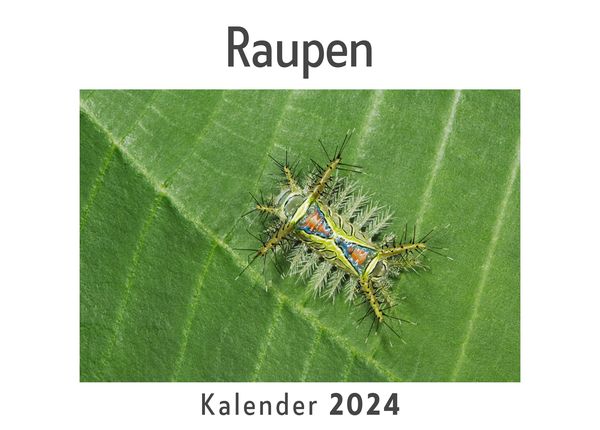 Produktbild: Raupen (Wandkalender 2024, Kalender DIN A4 quer, Monatskalender im Querformat mit Kalendarium, Das perfekte Geschenk)