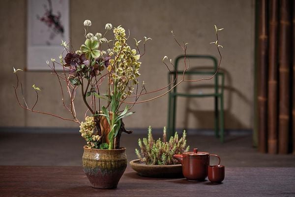 Produktbild: New Ikebana