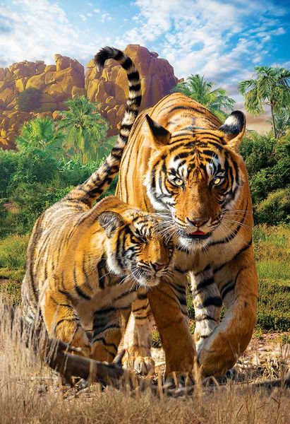 Produktbild: Kinder Puzzle 250 Teile - Tigers