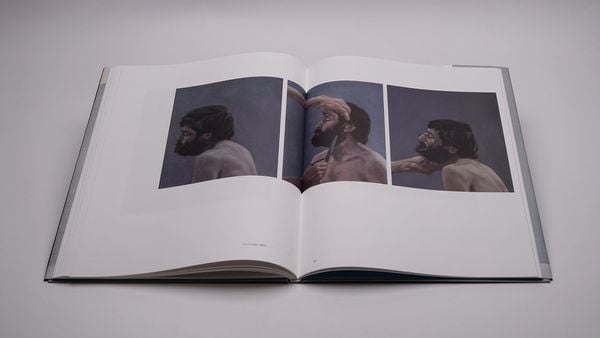 Produktbild: Tim Eitel &ndash; Vorschl&auml;ge f&uuml;r Nachbilder /&thinsp;Propositions for Afterimages