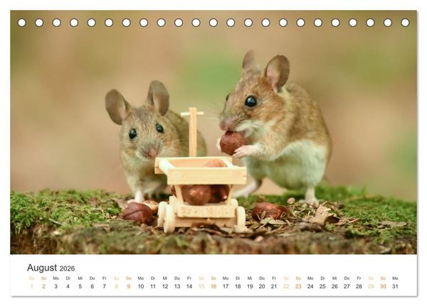 Produktbild: Geheimes Waldleben (Tischkalender 2026 DIN A5 quer), CALVENDO Monatskalender