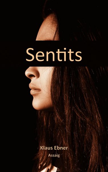 Produktbild: Sentits