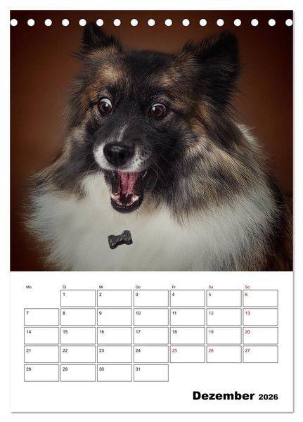 Produktbild: Fang das Leckerli (Tischkalender 2026 DIN A5 hoch), CALVENDO Monatskalender