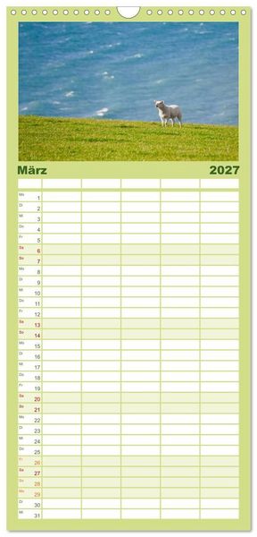 Produktbild: Familienplaner 2027 - Schafe - Weich und wollig mit 5 Spalten (Wandkalender, 21 x 45 cm) CALVENDO