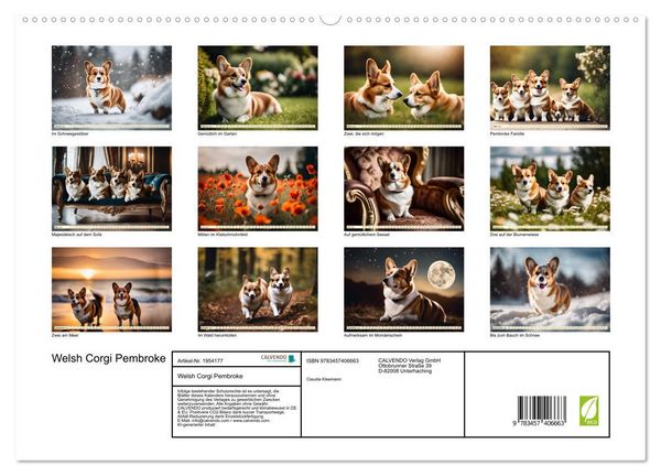 Produktbild: Welsh Corgi Pembroke (hochwertiger Premium Wandkalender 2026 DIN A2 quer), Kunstdruck in Hochglanz