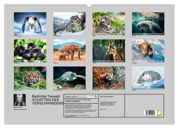 Produktbild: Bedrohte Tierwelt SCHATTEN DES VERSCHWINDENS (Wandkalender 2026 DIN A2 quer), CALVENDO Monatskalender