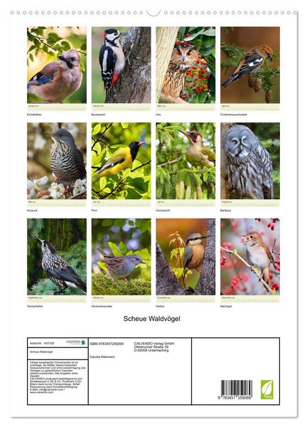 Produktbild: Scheue Waldv&ouml;gel (hochwertiger Premium Wandkalender 2026 DIN A2 hoch), Kunstdruck in Hochglanz
