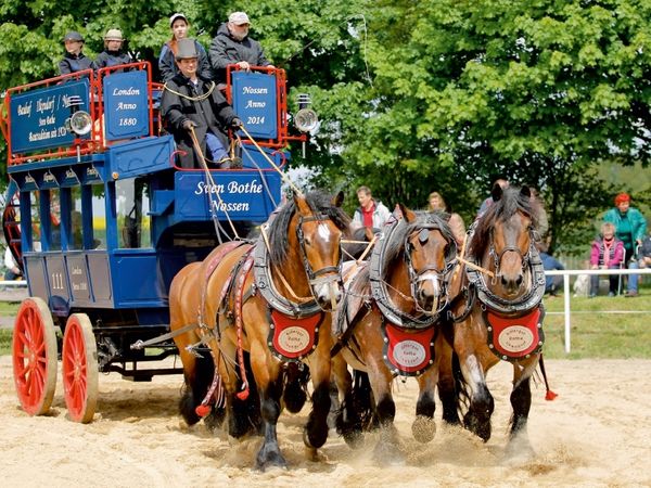 Produktbild: CALVENDO Puzzle F&uuml;nf Rheinisch- Deutsche Kaltbl&uuml;ter vor einem Omnibus von 1880 1000 Teile Puzzle quer | 1000 Teile Lege-Gr&ouml;&szlig;e 64 &times; 48 cm Foto-Puzzle f&uuml;r gl&uuml;ckliche Stunden