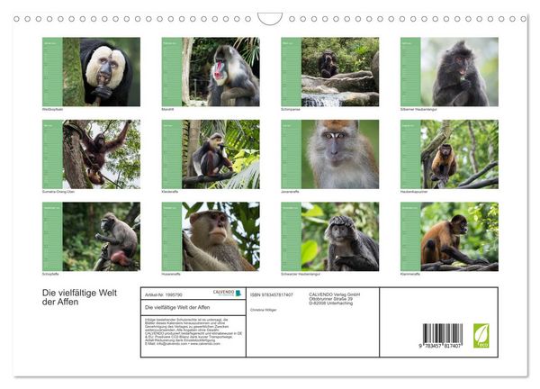 Produktbild: Die vielf&auml;ltige Welt der Affen (Wandkalender 2026 DIN A3 quer), CALVENDO Monatskalender