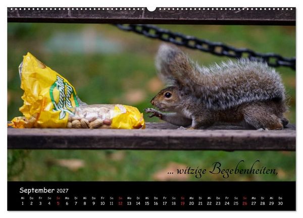 Produktbild: Gut gelaunt durch's Rentenjahr (Wandkalender 2027 DIN A2 quer), CALVENDO Monatskalender