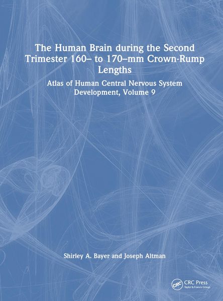 Produktbild: The Human Brain during the Second Trimester 160&ndash; to 170&ndash;mm Crown-Rump Lengths
