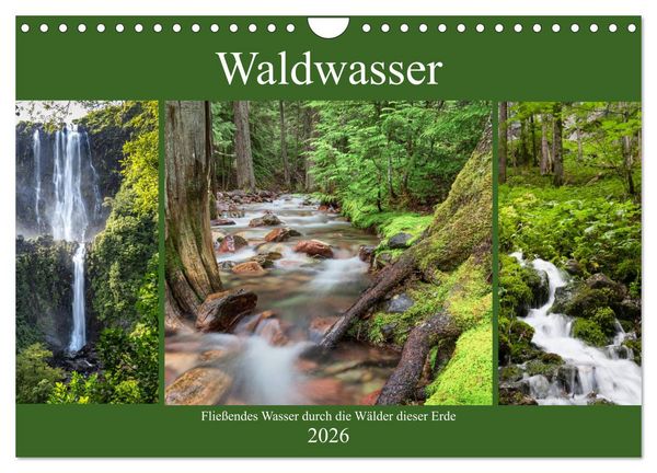 Produktbild: Waldwasser (Wandkalender 2026 DIN A4 quer), CALVENDO Monatskalender