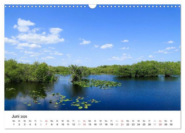 Produktbild: Unter der Sonne Floridas (Wandkalender 2026 DIN A3 quer), CALVENDO Monatskalender