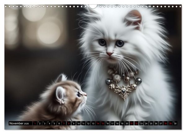 Produktbild: Katzenmomente (Wandkalender 2026 DIN A3 quer), CALVENDO Monatskalender