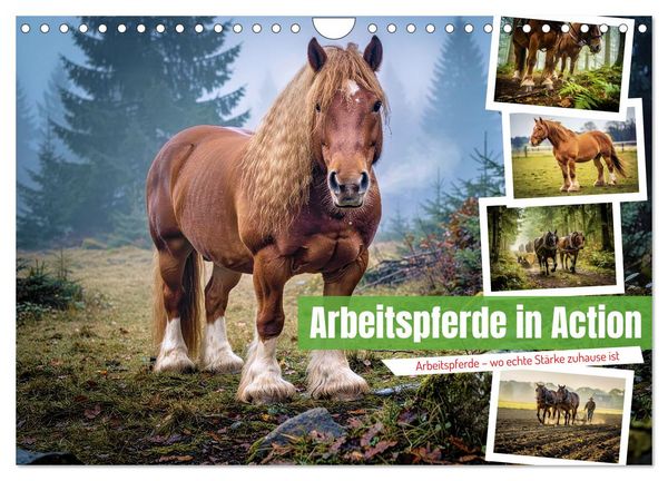 Produktbild: Arbeitspferde in Action (Wandkalender 2027 DIN A4 quer), CALVENDO Monatskalender