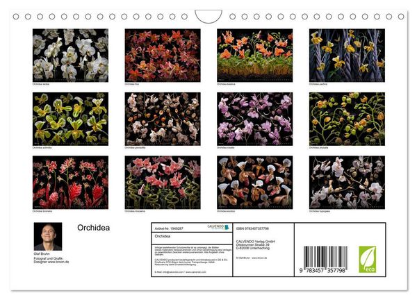 Produktbild: Orchidea (Wandkalender 2026 DIN A4 quer), CALVENDO Monatskalender