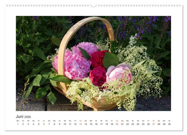 Produktbild: Blumen, Bl&uuml;ten, Dekoliebe (Wandkalender 2026 DIN A2 quer), CALVENDO Monatskalender