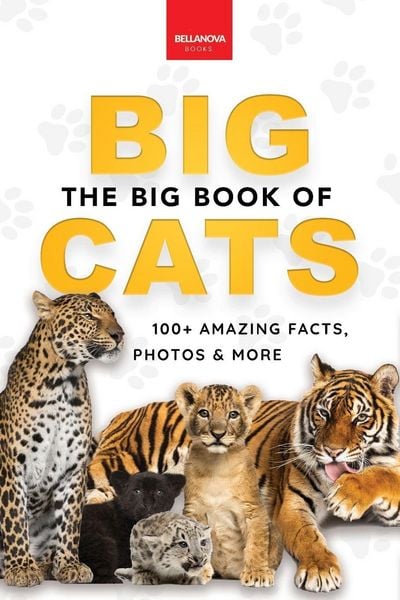 Produktbild: The Big Book of Big Cats