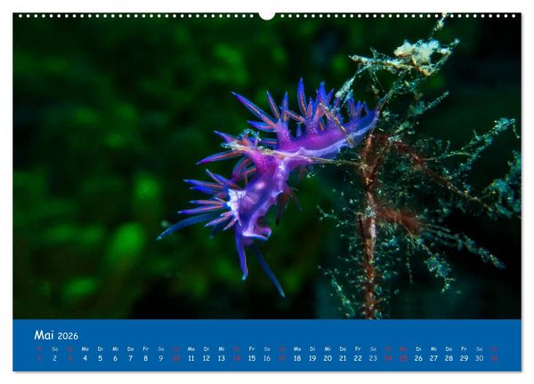 Produktbild: Unterwasserwelten (hochwertiger Premium Wandkalender 2026 DIN A2 quer), Kunstdruck in Hochglanz