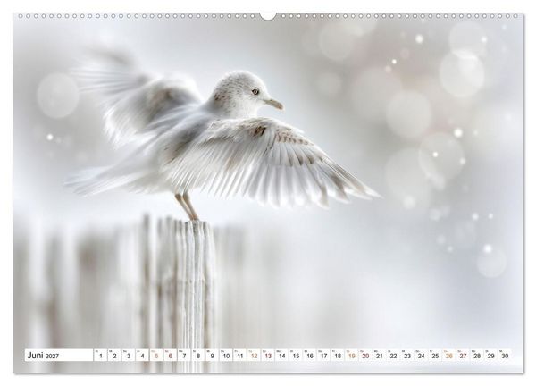 Produktbild: Lichtperlen (hochwertiger Premium Wandkalender 2027 DIN A2 quer), Kunstdruck in Hochglanz