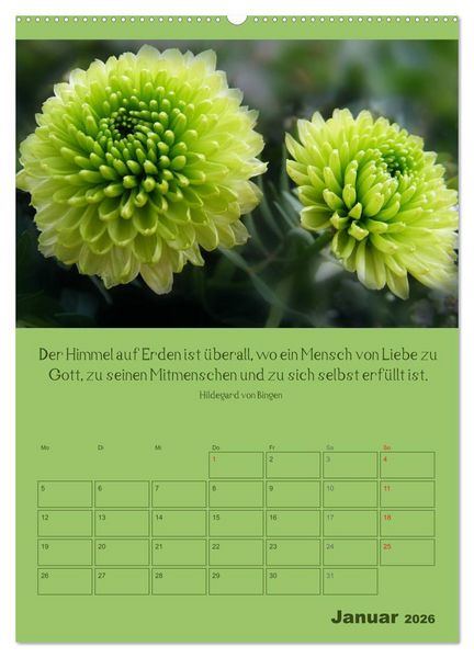 Produktbild: Erkenntnis und Weisheit - Hildegard von Bingen (hochwertiger Premium Wandkalender 2026 DIN A2 hoch), Kunstdruck in Hochglanz