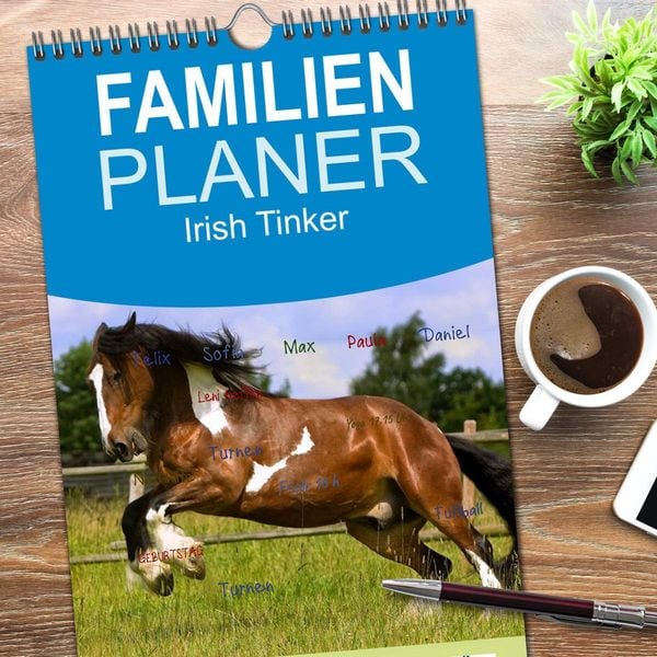 Produktbild: Familienplaner 2026 - Irish Tinker mit 5 Spalten (Wandkalender, 21 x 45 cm) CALVENDO