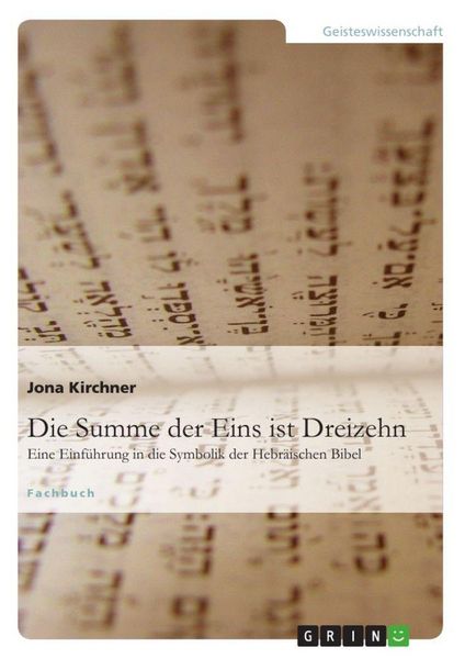 Die Summe der Eins ist Dreizehn, Taschenbuch von Jona Kirchner, GRIN, 9783656289432
