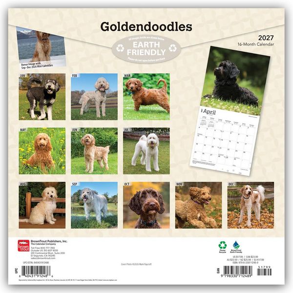 Produktbild: Goldendoodles &ndash; Goldendoodle 2027 &ndash; 16-Monatskalender