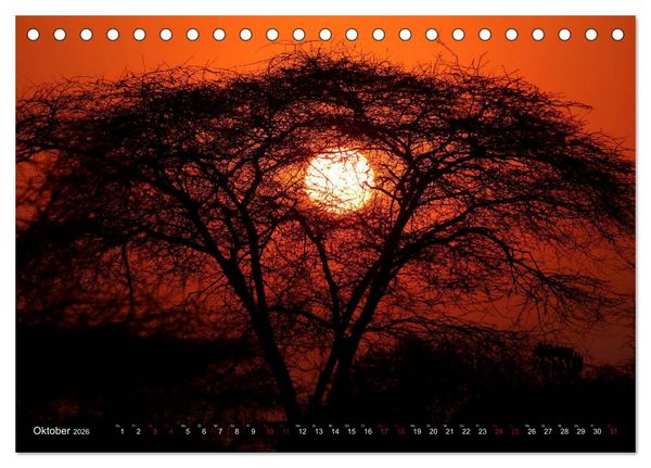 Produktbild: Afrika - Zauber der Wildnis (Tischkalender 2026 DIN A5 quer), CALVENDO Monatskalender
