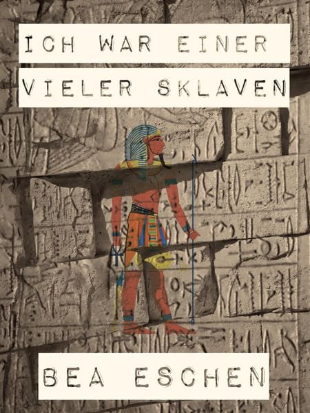 Produktbild: Ich war einer vieler Sklaven