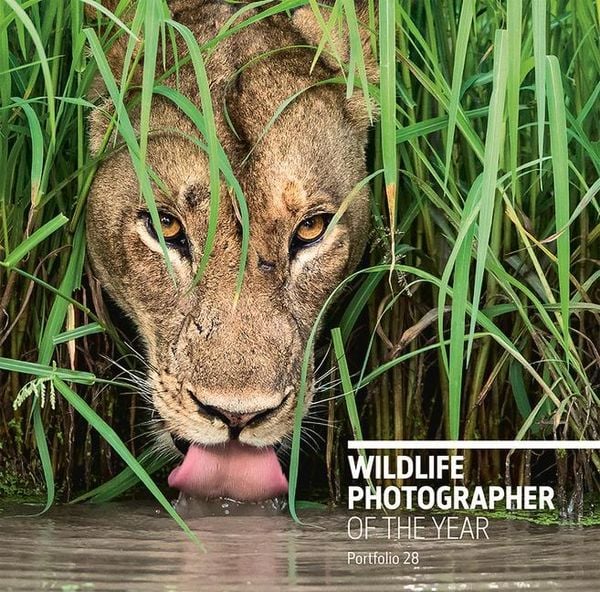 Produktbild: Wildlife Photographer of the Year: Portfolio 28