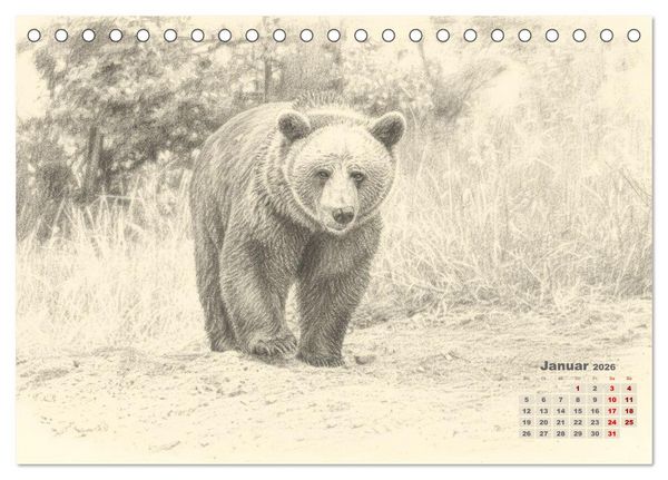 Produktbild: Wilde Seelen - Tierische Momente in Graphit (Tischkalender 2026 DIN A5 quer), CALVENDO Monatskalender