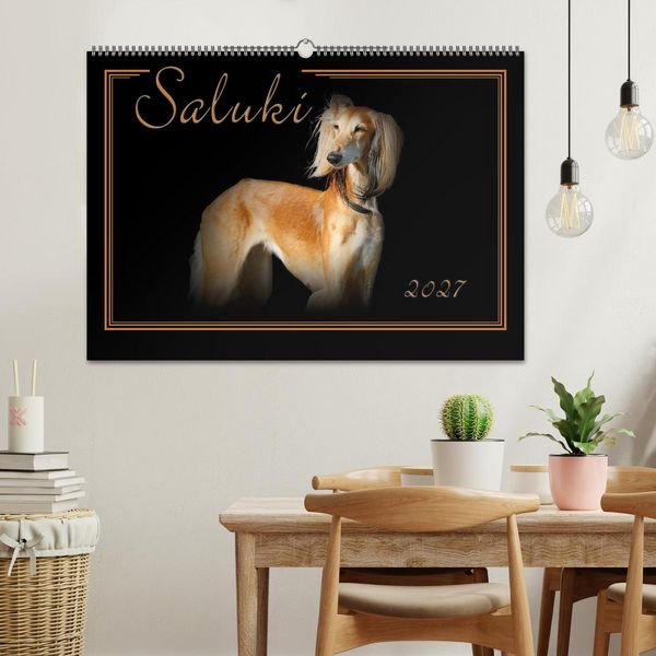 Produktbild: Saluki 2027 (Wandkalender 2027 DIN A2 quer), CALVENDO Monatskalender