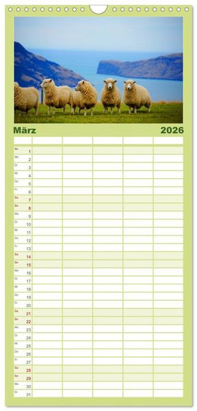 Produktbild: Familienplaner 2026 - Schafe mit 5 Spalten (Wandkalender, 21 x 45 cm) CALVENDO