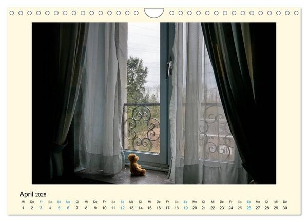 Produktbild: Herr B&auml;r urban explorer (Wandkalender 2026 DIN A4 quer), CALVENDO Monatskalender