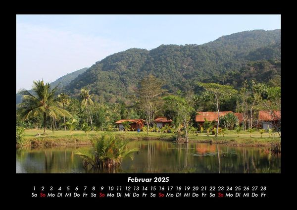 Produktbild: Pflanzen und Bl&uuml;ten 2025 Fotokalender DIN A3