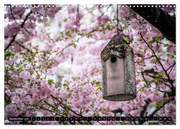 Produktbild: Fr&uuml;hlingsbl&uuml;her - Farbenpracht nach dem Winter (Wandkalender 2026 DIN A3 quer), CALVENDO Monatskalender