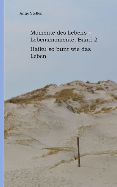 Produktbild: Momente des Lebens - Lebensmomente Band 2