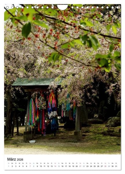 Produktbild: Japan - Kirschbl&uuml;ten (Wandkalender 2026 DIN A4 hoch), CALVENDO Monatskalender