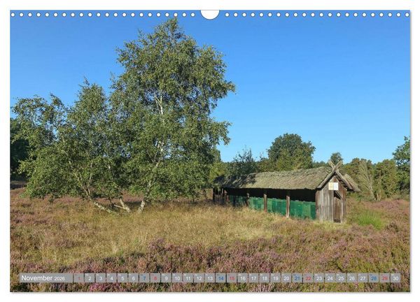 Produktbild: L&uuml;neburger Heide - Faszinierend sch&ouml;n (Wandkalender 2026 DIN A3 quer), CALVENDO Monatskalender