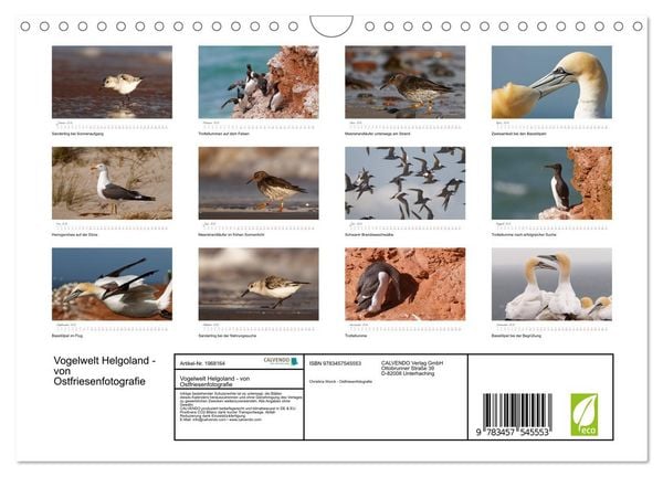 Produktbild: Vogelwelt Helgoland - von Ostfriesenfotografie (Wandkalender 2026 DIN A4 quer), CALVENDO Monatskalender