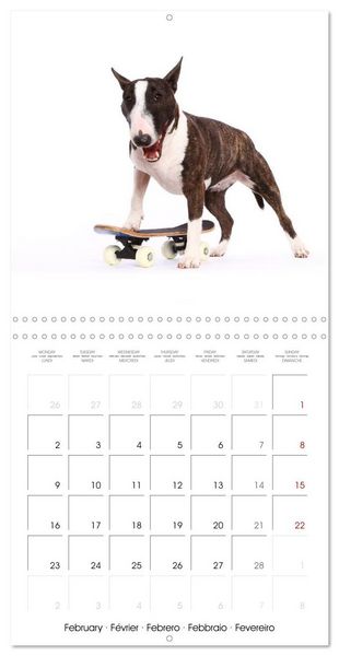 Produktbild: Cute Funny Dogs (Wall Calendar 2026 12 &times; 12 Inch) CALVENDO 12 Month Wall Calendar