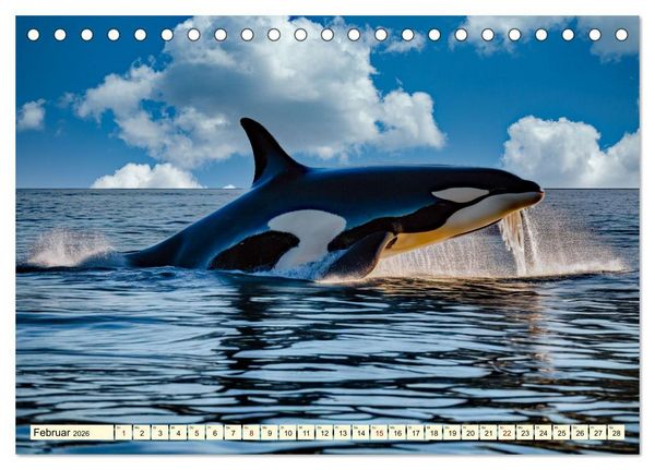 Produktbild: Australiens faszinierende Fauna (Tischkalender 2026 DIN A5 quer), CALVENDO Monatskalender