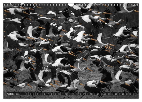Produktbild: tanzania fine art (Wall Calendar 2026 DIN A3 landscape), CALVENDO 12 Month Wall Calendar