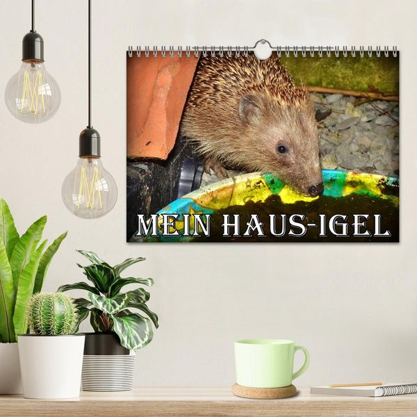 Produktbild: Mein Haus-Igel (Wandkalender 2026 DIN A4 quer), CALVENDO Monatskalender