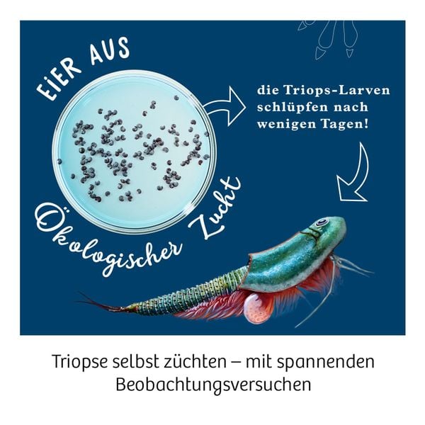 Produktbild: Triops-Welt