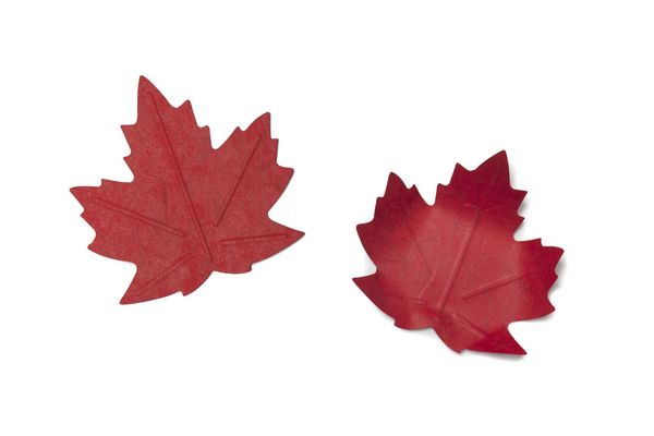 Produktbild: Flexible Hanji-Papierschale Ahornblatt Rot &ndash; Ablage / Servierschale aus koreanischem Hanji-Papier